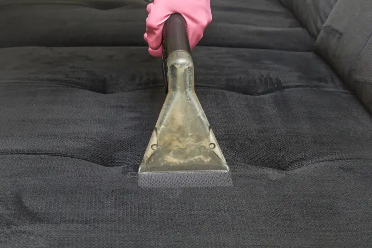 Sofa Upholstery Cleaner in Millbrae, CA