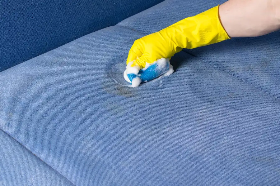 Upholstery Cleaning Services For Allergies And Indoor Air Quality Millbrae CA